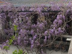 -梨云山居农家乐