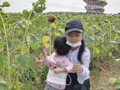 -光明小镇欢乐田园