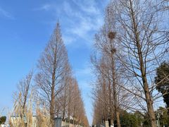 -滆湖低碳生态公园