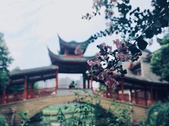 -龙潭水乡