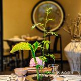 走进成都这家宋式美学素食餐厅