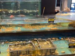 -龙宴海鲜城(经中路店)