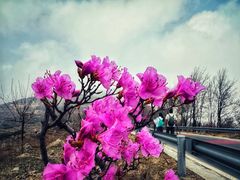 -阳台山自然风景区