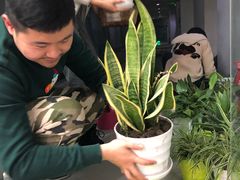 -帝京日语(春熙路旗舰校区)