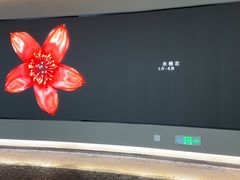 -云溪植物园