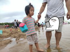 -碧海金沙