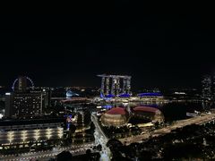 -新加坡瑞士史丹福酒店