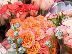 -循礼门鲜花花市(武汉循礼门店)