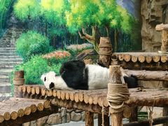 -青藏高原野生动物园