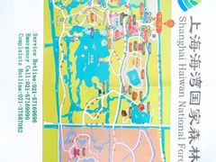 -上海海湾国家森林公园