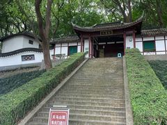 -上海佘山国家森林公园天马山园