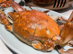-新海渔港·胶东海鲜家常菜·家宴(奥体中心店)