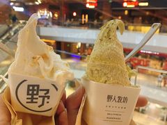 -野人先生现做冰淇淋(北京环宇荟店)