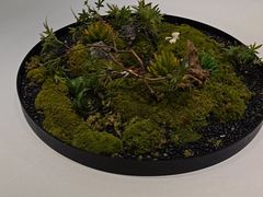 -玉华台饭庄·淮扬菜·烤鸭(望京店)