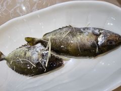 -海大大蒸汽海鲜餐厅·粤菜·特色小炒(欢乐颂店)