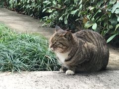 -长生素斋(普陀山店)