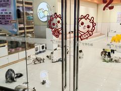 -万达广场(南京江宁店)