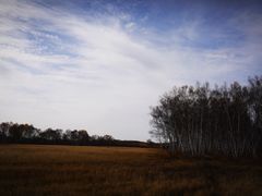 -御道口草原森林风景区