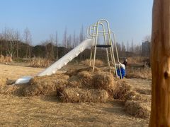 -长田漾湿地公园