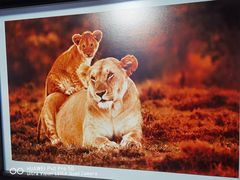 -罗红摄影艺术馆