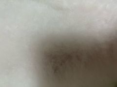 -宠小格时尚宠物生活馆(唐镇店)