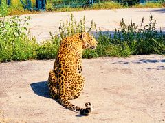 -大连森林动物园