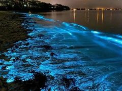 -海沧湾公园