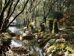 -上海共青森林公园