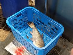 -鱼头泡饭·湖北菜·非物质文化遗产(岳家嘴总店)