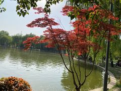 -清凉山国家森林公园