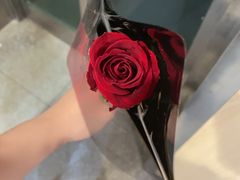 -海底捞火锅(振华商厦店)