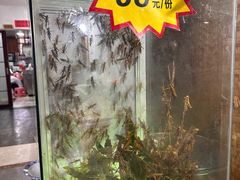 -昆虫窝子·特色云南菜(拓东路总店)