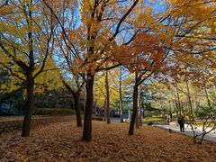 -元大都城垣遗址公园