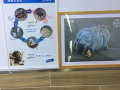 -爱侣宠医·鹦鹉专科·小型哺乳类·异宠专科(灵石路店)