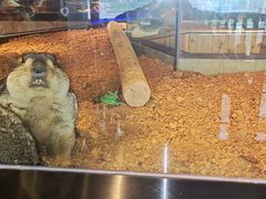 -昆明大悦城未来动物城(螺蛳湾中心店)