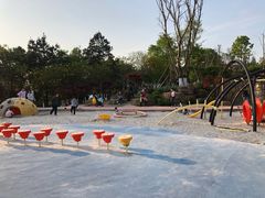 -铁山坪森林公园