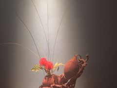 -觀芷隐轩