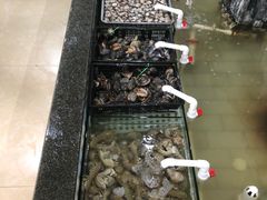 -春华海鲜城(广场西苑店)