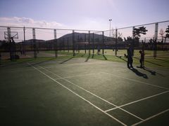 -羊亭河湿地公园