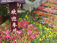 -成都市活水公园