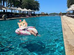 -石梅湾艾美度假酒店