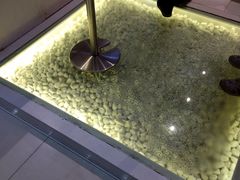 -狐狸和向日葵(北京路店)