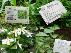 -广州神农草堂中医药博物馆