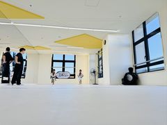 -勇气斑马·巴西柔术&跆拳道(浦东三林店)