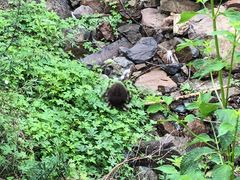 -南宫温泉水世界