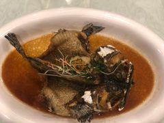 清蒸龙趸鱼-庄隐阁(悠方广场店)