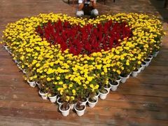 -艾溪湖湿地公园