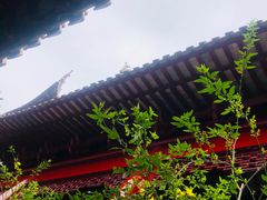 -钦赐仰殿道观