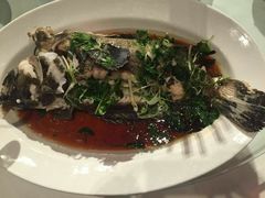 -天鹅到家·保姆月嫂育儿嫂(天河店)