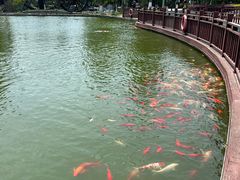 -东台西溪天仙缘景区